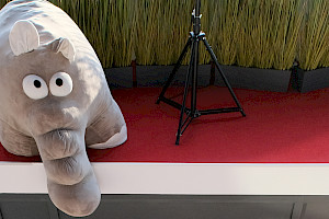 Wir suchen Verstärkung - Komm in unser Team